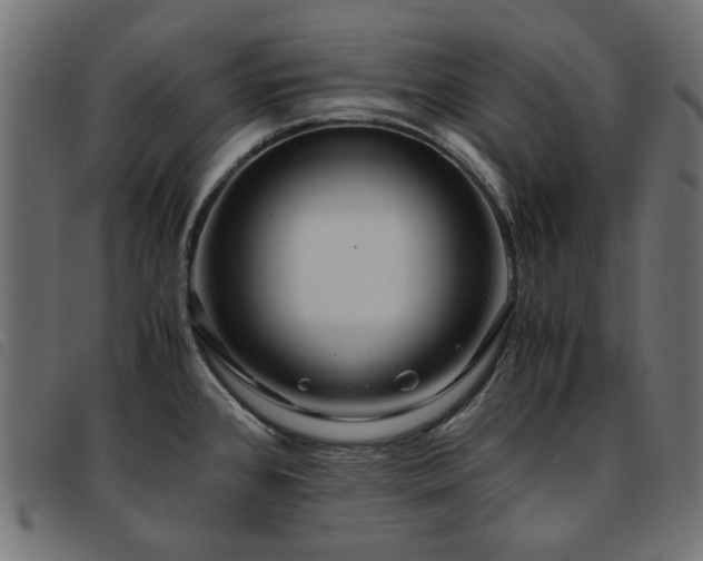 X0000093771384200710161233
