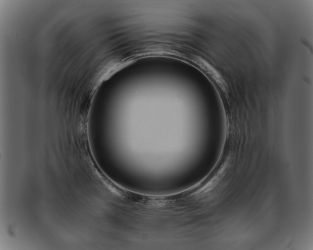 X0000093771385200710161233