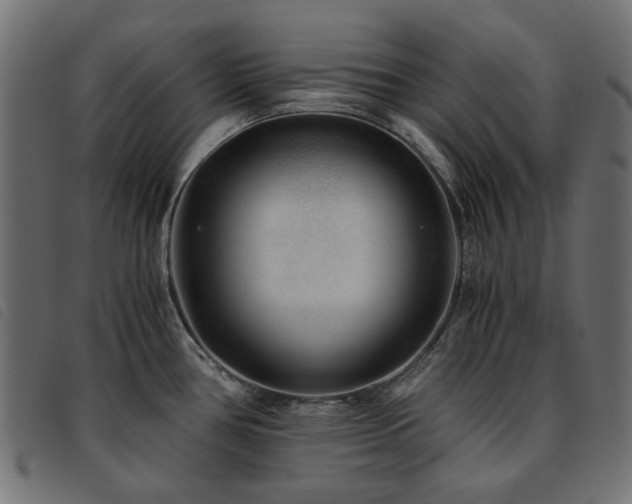 X0000093771386200710161233