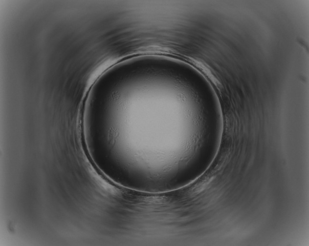 X0000093771387200710161233