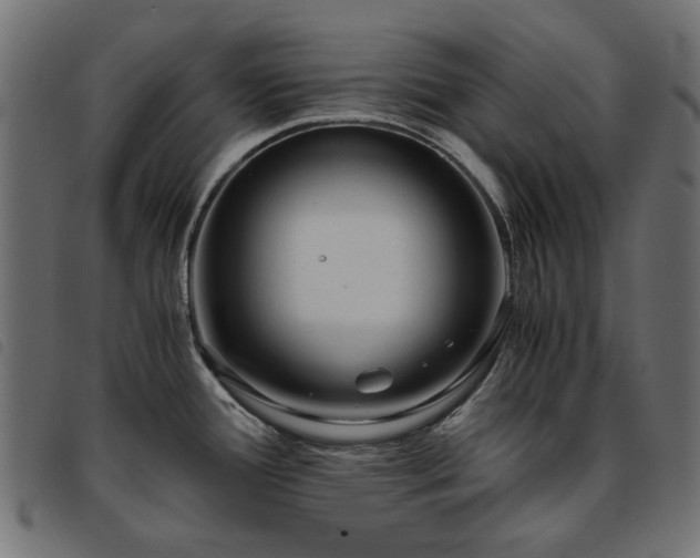 X0000093771388200710161233