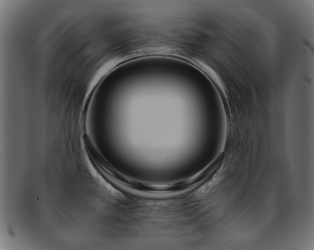 X0000093771389200710161233