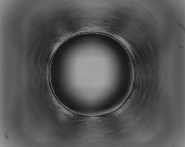 X0000093771390200710161233