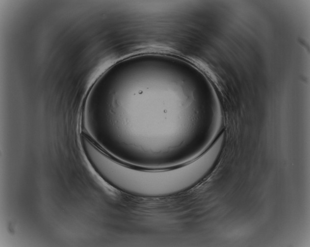 X0000093771391200710161233