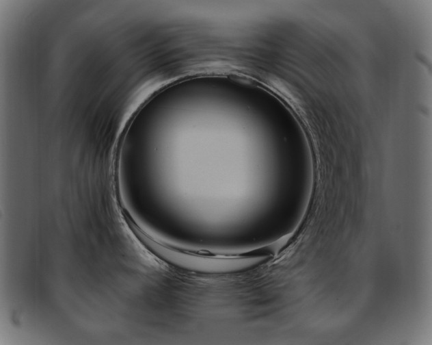 X0000093771392200710161233