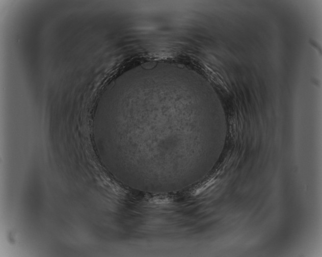 X0000093771393200710161233
