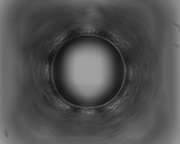 X0000093771394200710161233
