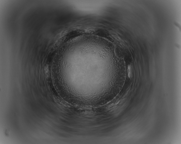 X0000093771395200710161233