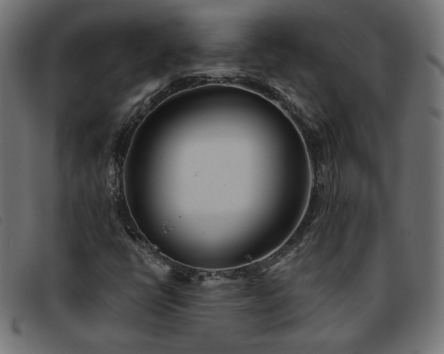 X0000093771398200710161233
