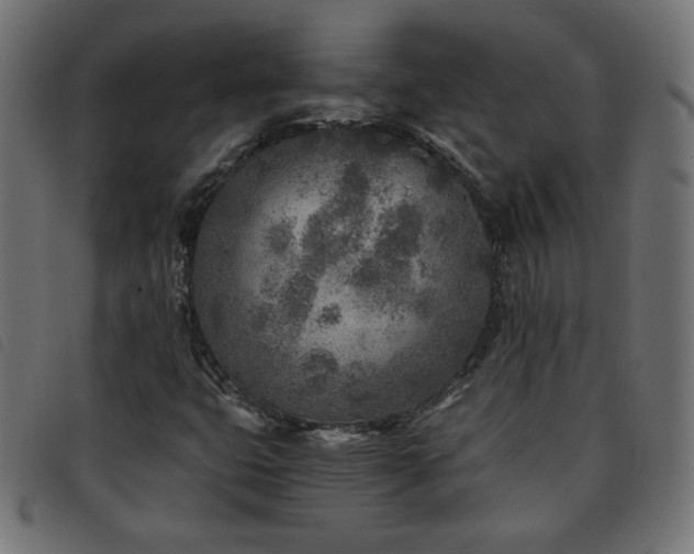 X0000093771399200710161233