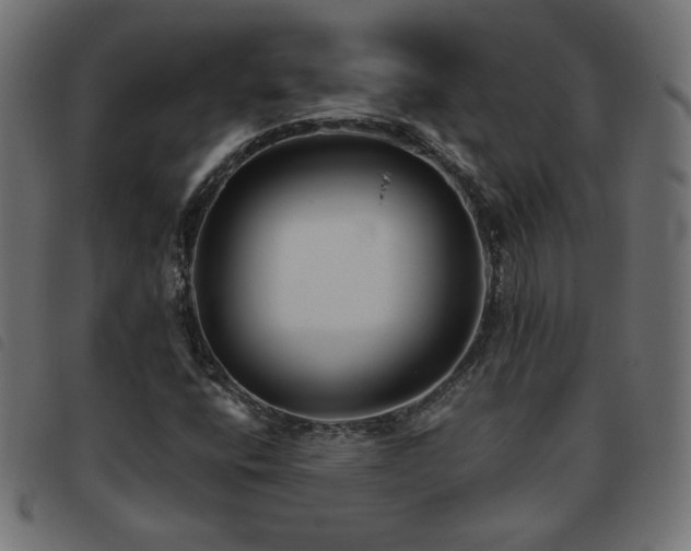 X0000093771400200710161233