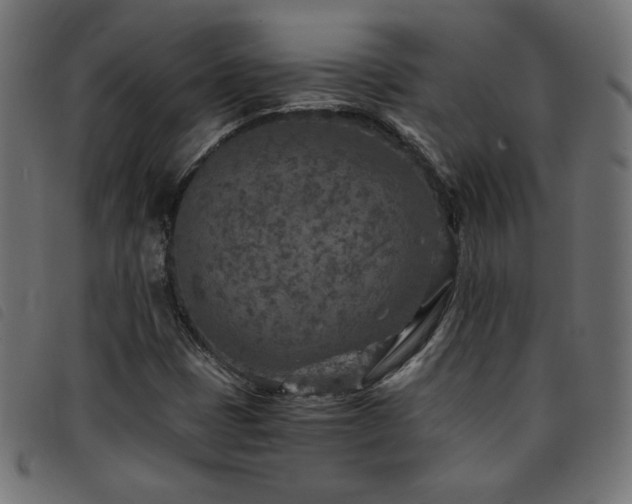 X0000093771401200710161233