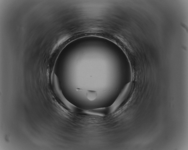 X0000093771402200710161233