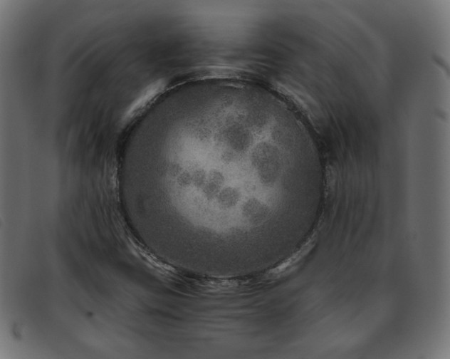 X0000093771403200710161233