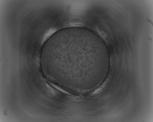 X0000093771405200710161233