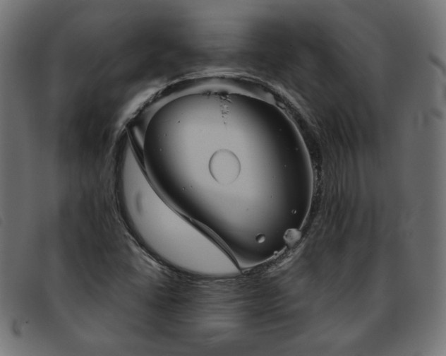 X0000093771406200710161233