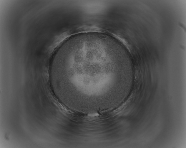 X0000093771407200710161233