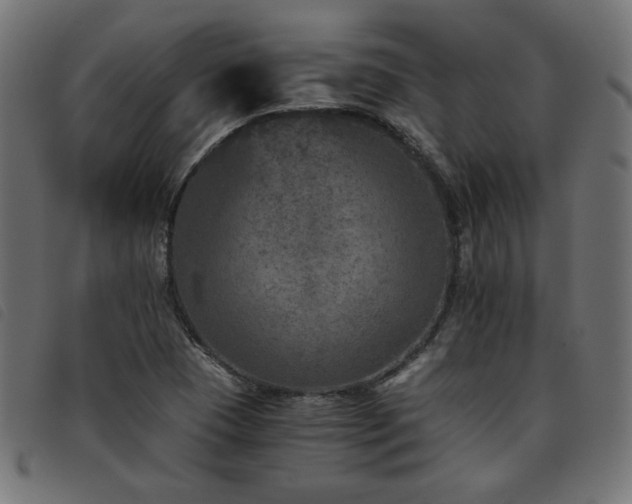 X0000093771409200710161233