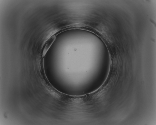 X0000093771410200710161233