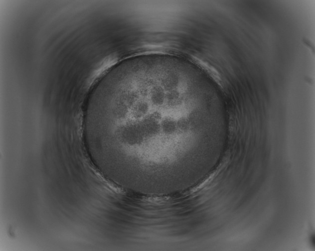 X0000093771411200710161233