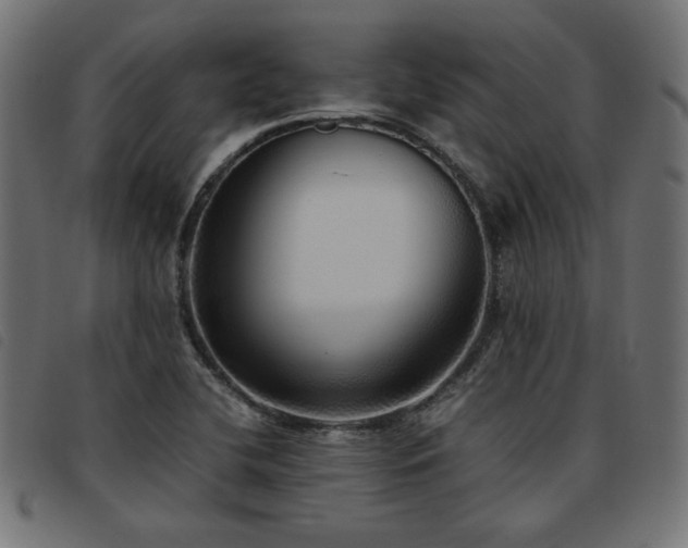 X0000093771412200710161233