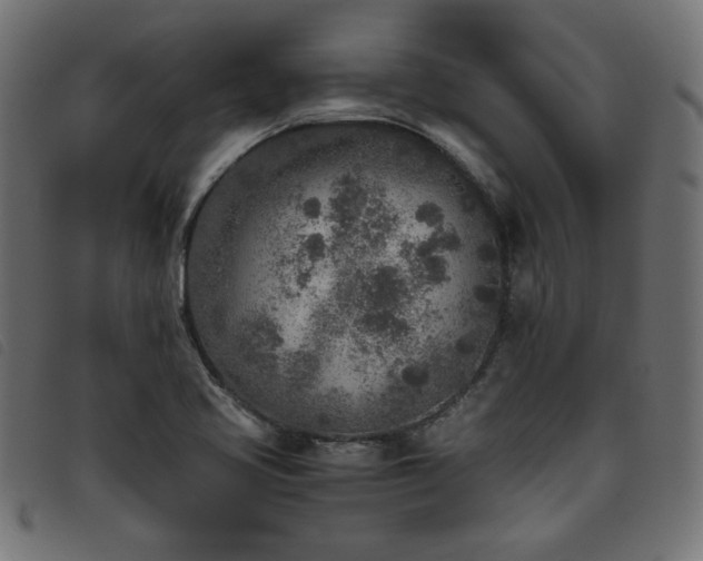 X0000093771413200710161233