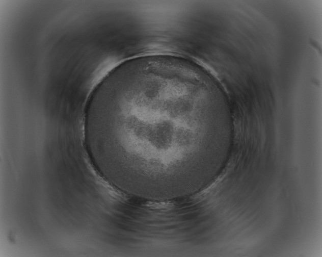 X0000093771415200710161233