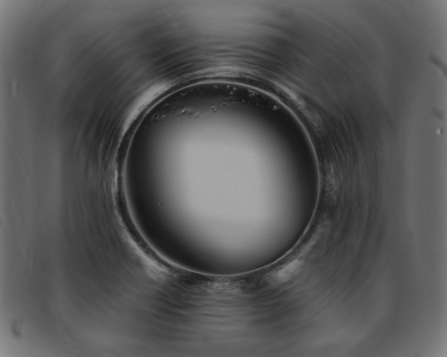 X0000093771418200710161233