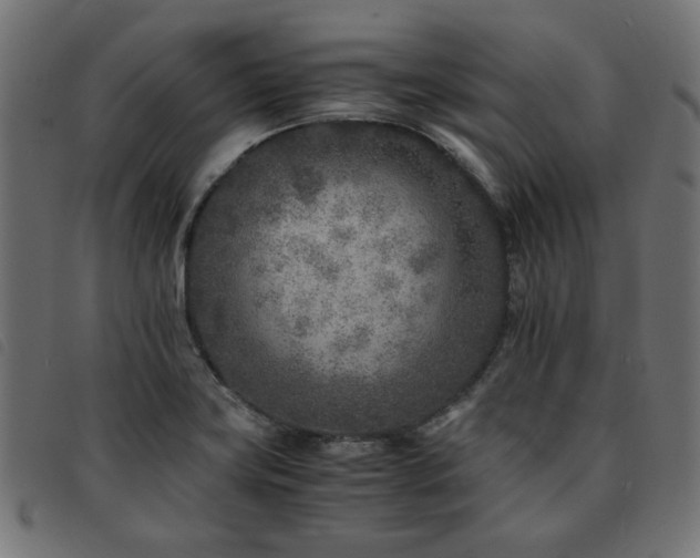 X0000093771419200710161233