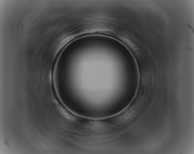 X0000093771420200710161233