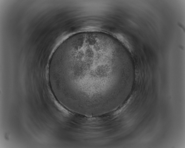 X0000093771421200710161233