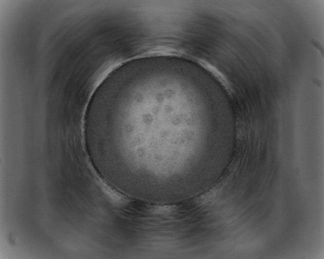 X0000093771423200710161233