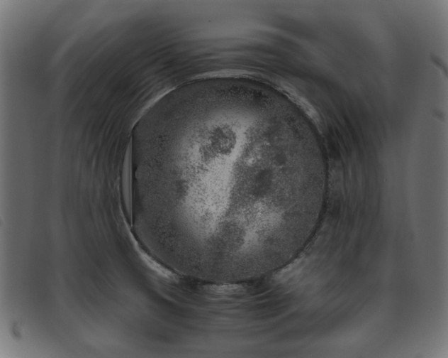 X0000093771425200710161233