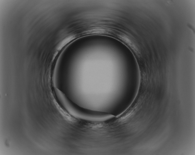 X0000093771426200710161233