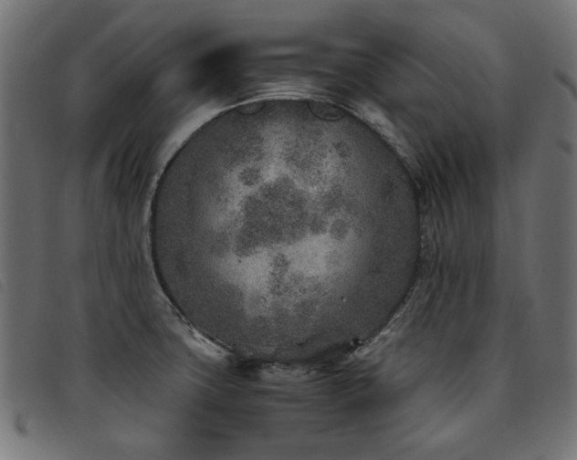 X0000093771427200710161233