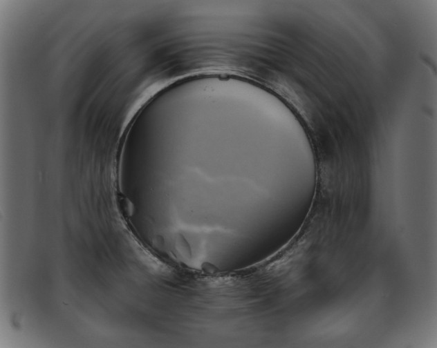 X0000093771428200710161233