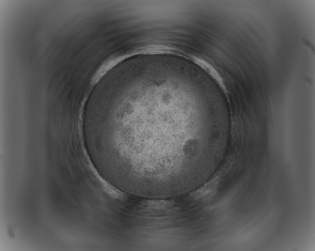 X0000093771429200710161233