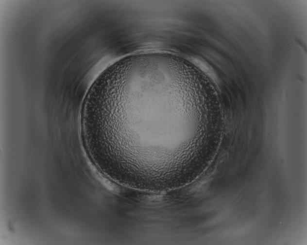 X0000093771431200710161233
