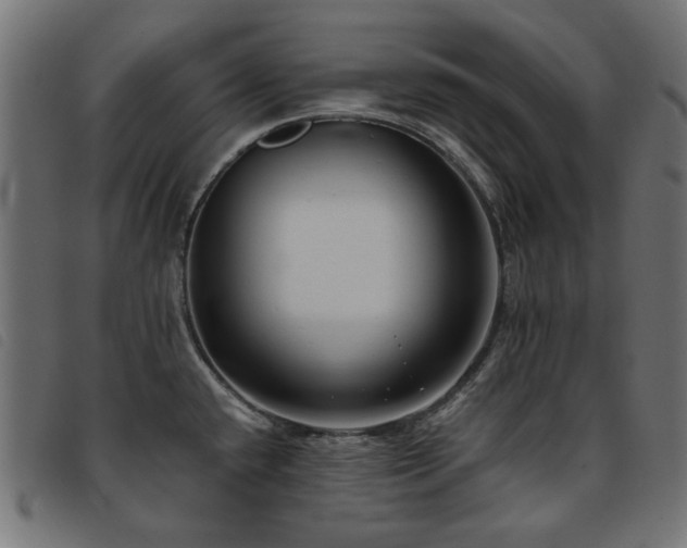 X0000093771432200710161233