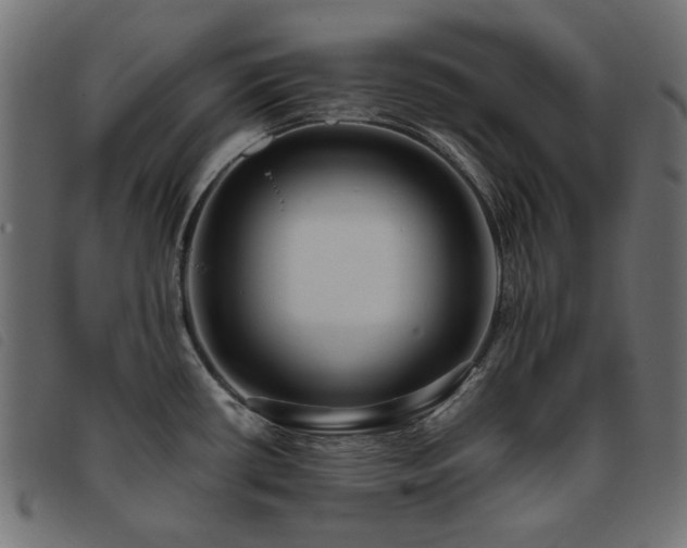 X0000093771434200710161233