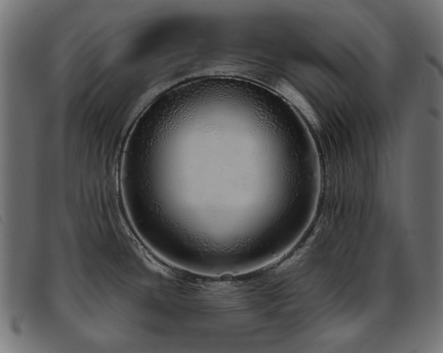 X0000093771436200710161233