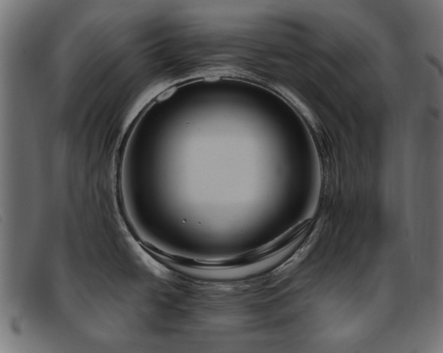 X0000093771438200710161233
