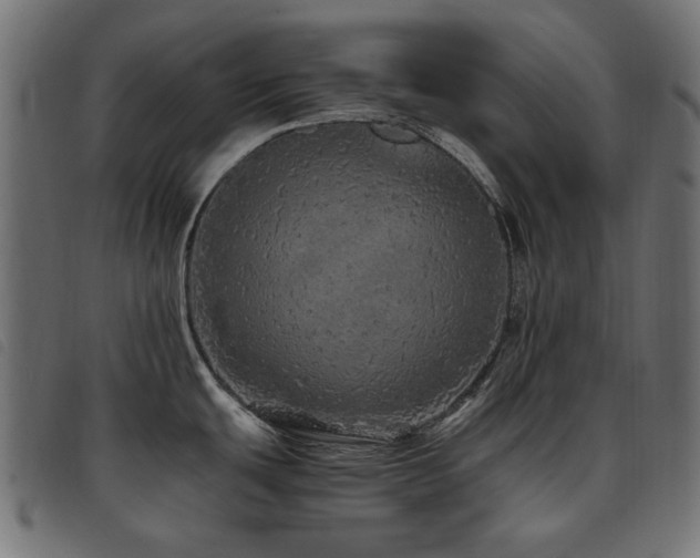 X0000093771439200710161233