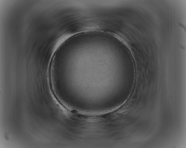 X0000093771440200710161233
