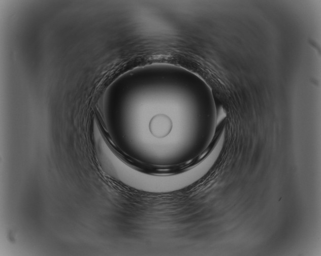 X0000093771441200710161233