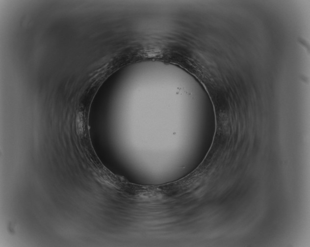 X0000093771442200710161233