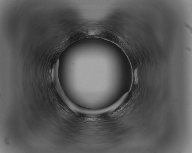 X0000093771443200710161233
