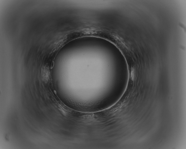 X0000093771444200710161233