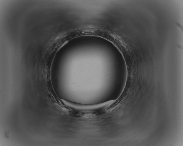 X0000093771445200710161233