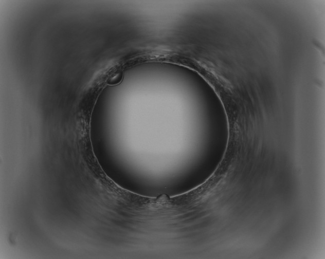 X0000093771447200710161233